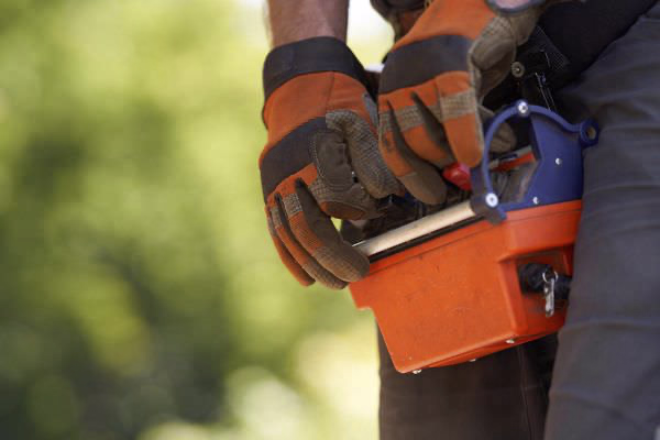 bildwerk olympia s bahn 014