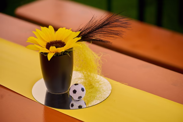 Preview campos_viola_gug_043-43