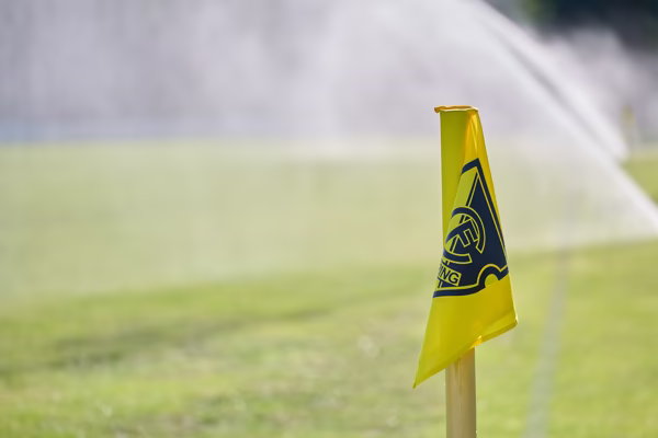 Preview campos_viola_gug_049-49