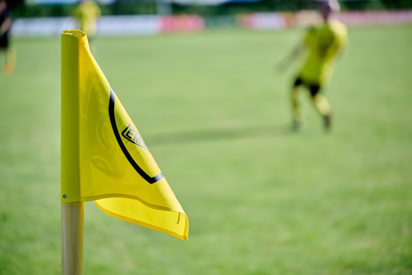 Preview campos_viola_gug_082-82