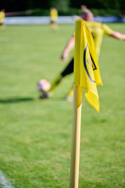 Preview campos_viola_gug_083-83