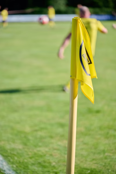 Preview campos_viola_gug_084-84