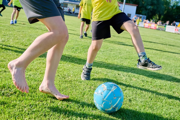 Preview campos_viola_gug_115-115