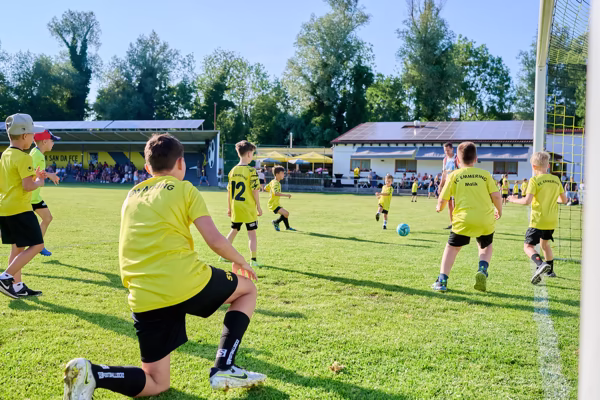 Preview campos_viola_gug_117-117