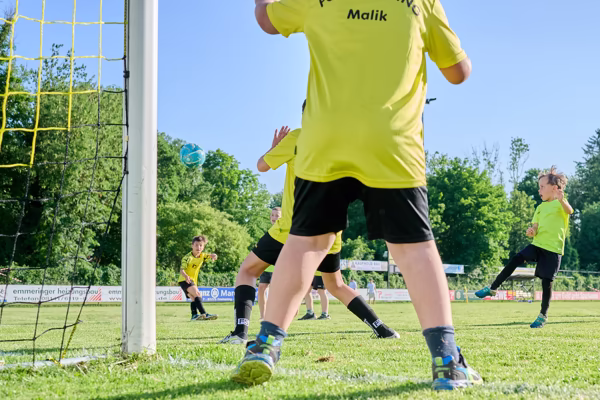 Preview campos_viola_gug_120-120