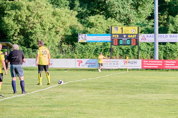 Preview campos_viola_gug_184-184