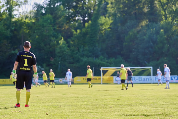 Preview campos_viola_gug_190-190