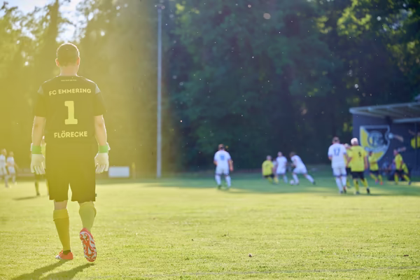 Preview campos_viola_gug_191-191