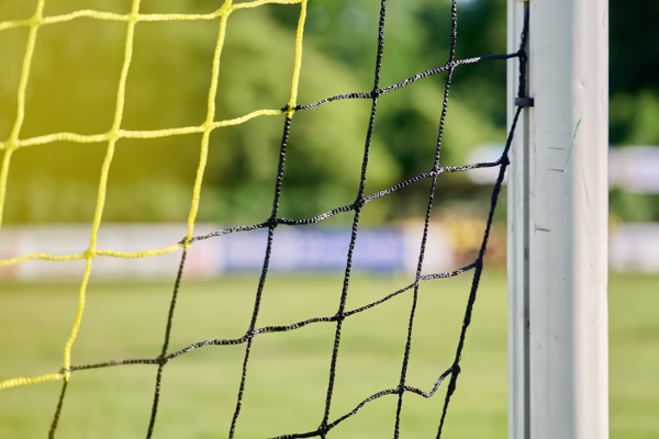 Preview campos_viola_gug_200-200