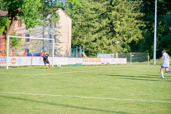 Preview campos_viola_gug_211-211