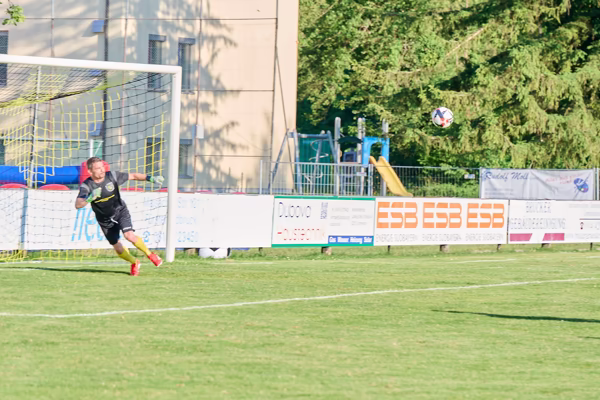 Preview campos_viola_gug_212-212