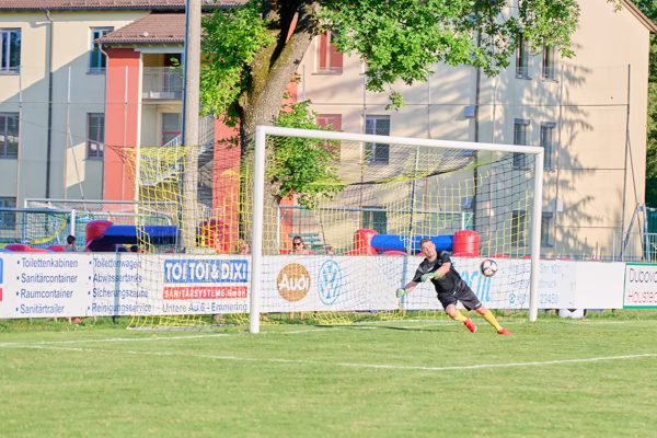 Preview campos_viola_gug_213-213