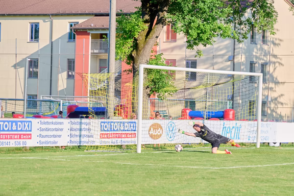 Preview campos_viola_gug_214-214