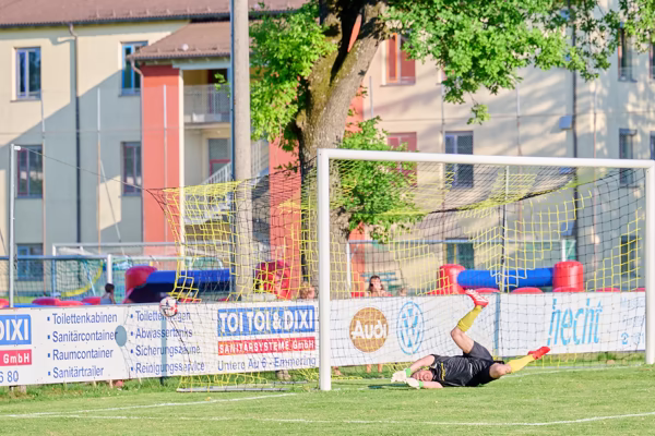 Preview campos_viola_gug_215-215