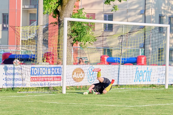 Preview campos_viola_gug_216-216