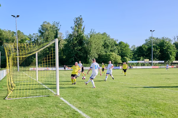 Preview campos_viola_gug_218-218