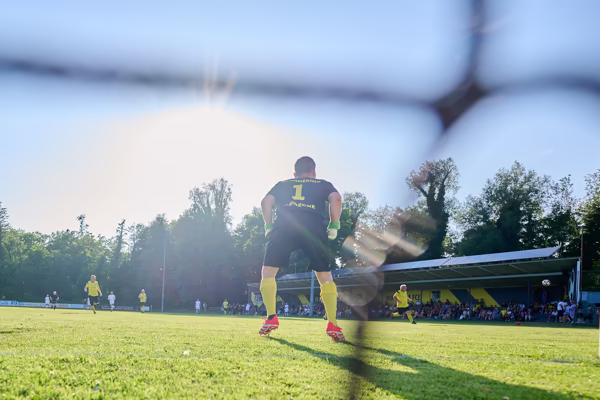 Preview campos_viola_gug_220-220