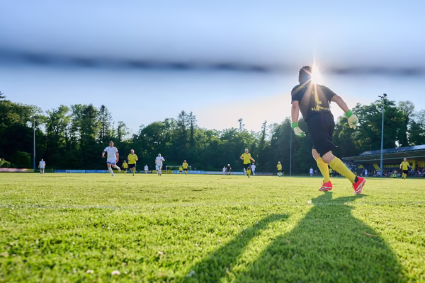 Preview campos_viola_gug_221-221