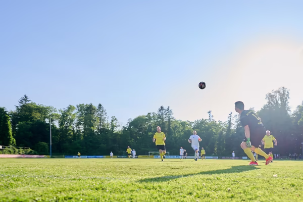 Preview campos_viola_gug_222-222