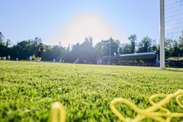 Preview campos_viola_gug_223-223