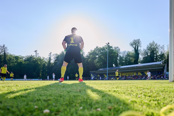 Preview campos_viola_gug_224-224