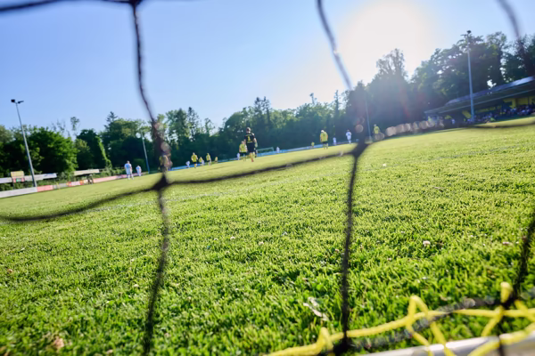 Preview campos_viola_gug_225-225