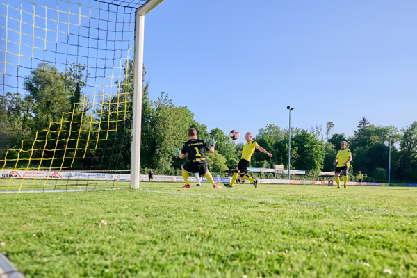 Preview campos_viola_gug_226-226