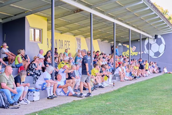 Preview campos_viola_gug_243-243