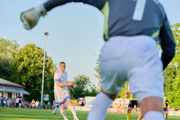 Preview campos_viola_gug_246-246