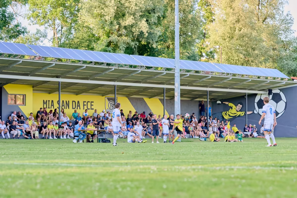 Preview campos_viola_gug_249-249