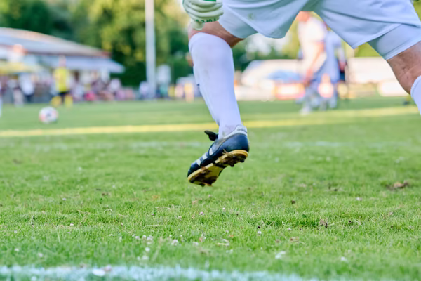 Preview campos_viola_gug_251-251