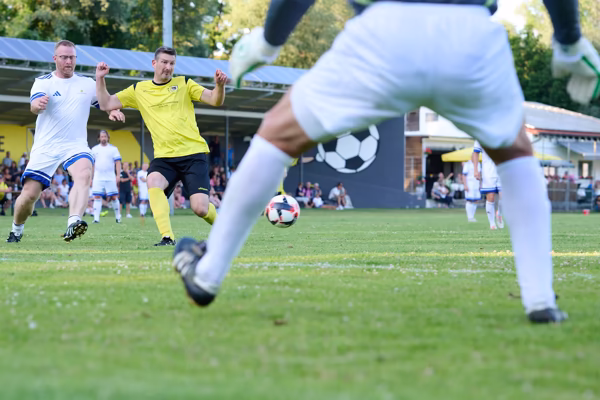 Preview campos_viola_gug_252-252