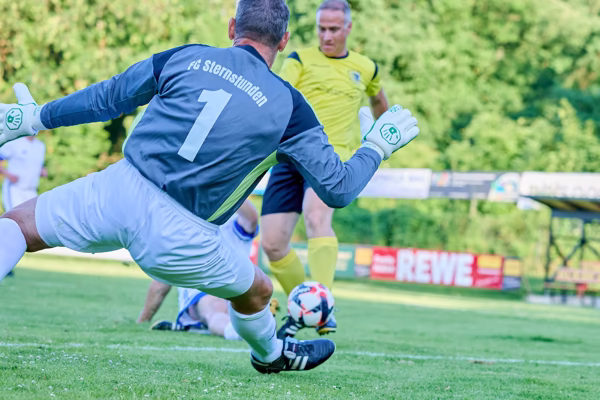 Preview campos_viola_gug_255-255