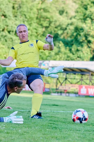 Preview campos_viola_gug_256-256