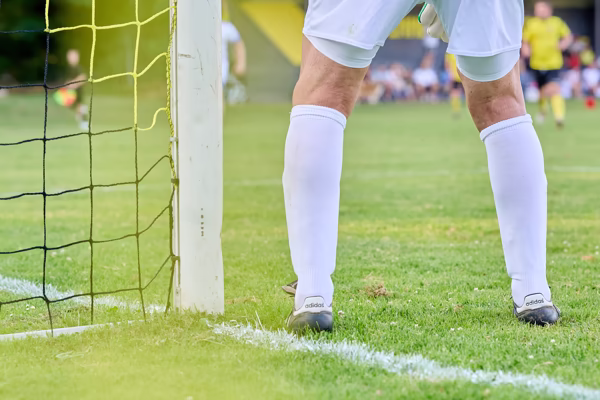 Preview campos_viola_gug_259-259