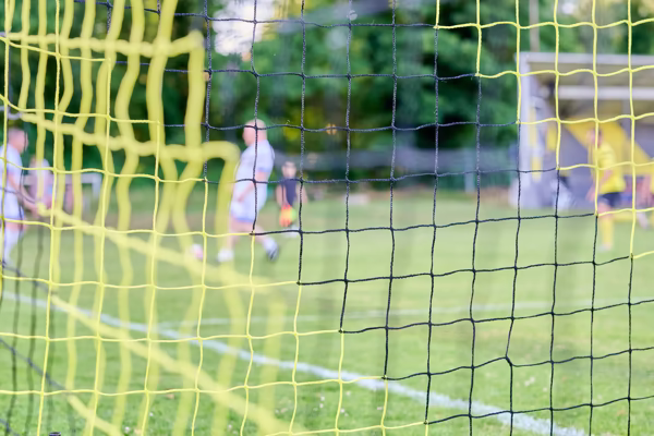 Preview campos_viola_gug_261-261