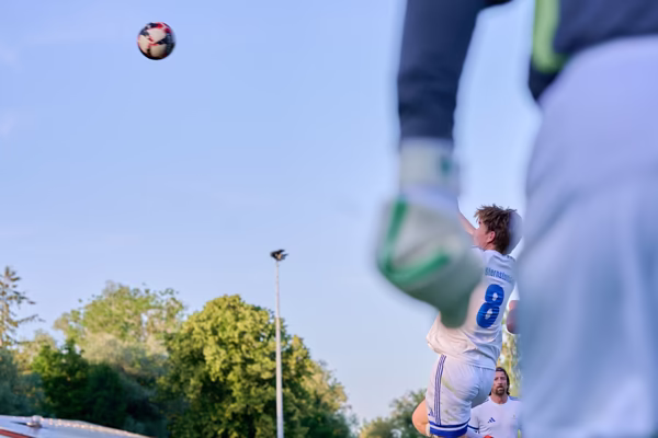 Preview campos_viola_gug_262-262