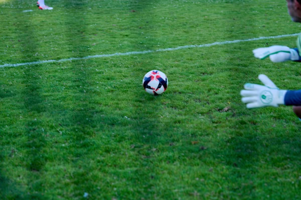 Preview campos_viola_gug_268-268