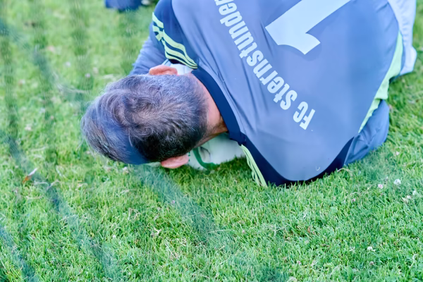 Preview campos_viola_gug_270-270