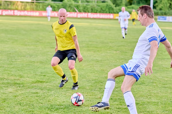 Preview campos_viola_gug_274-274