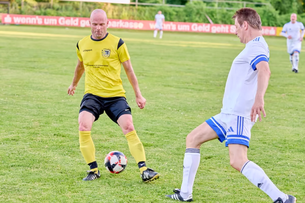 Preview campos_viola_gug_275-275