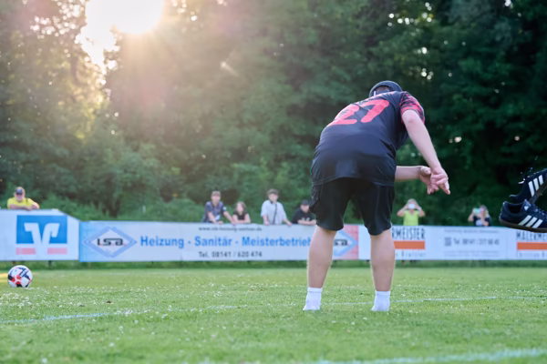 Preview campos_viola_gug_361-361