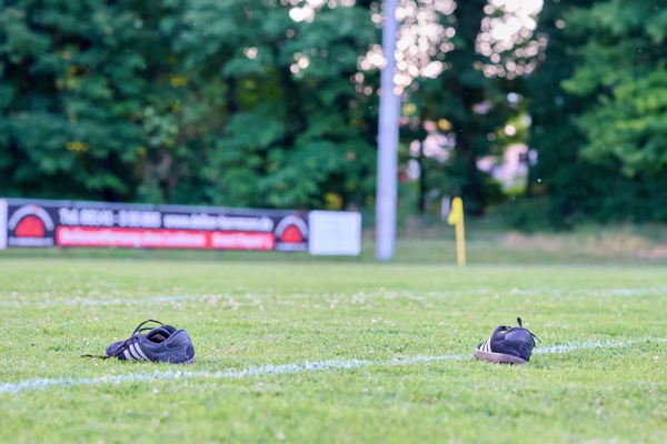 Preview campos_viola_gug_364-364