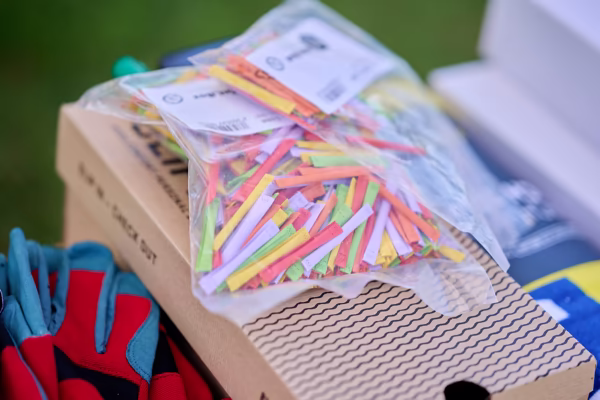 Preview campos_viola_gug_426-426