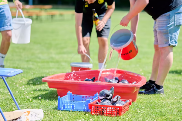 Preview campos_viola_gug_439-439