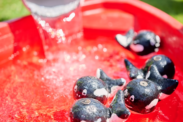 Preview campos_viola_gug_440-440