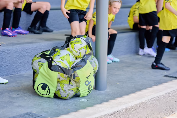 Preview campos_viola_gug_537-537