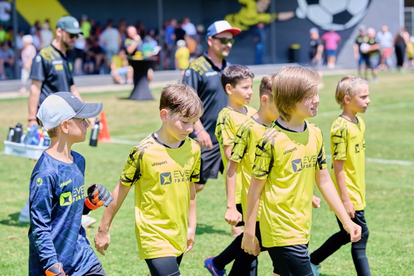 Preview campos_viola_gug_540-540