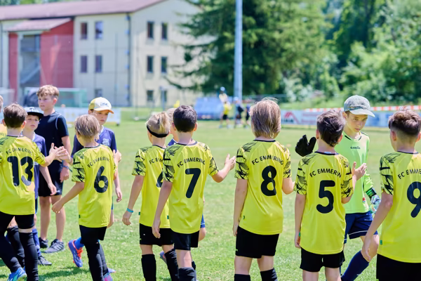 Preview campos_viola_gug_550-550