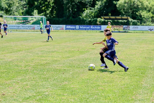 Preview campos_viola_gug_558-558